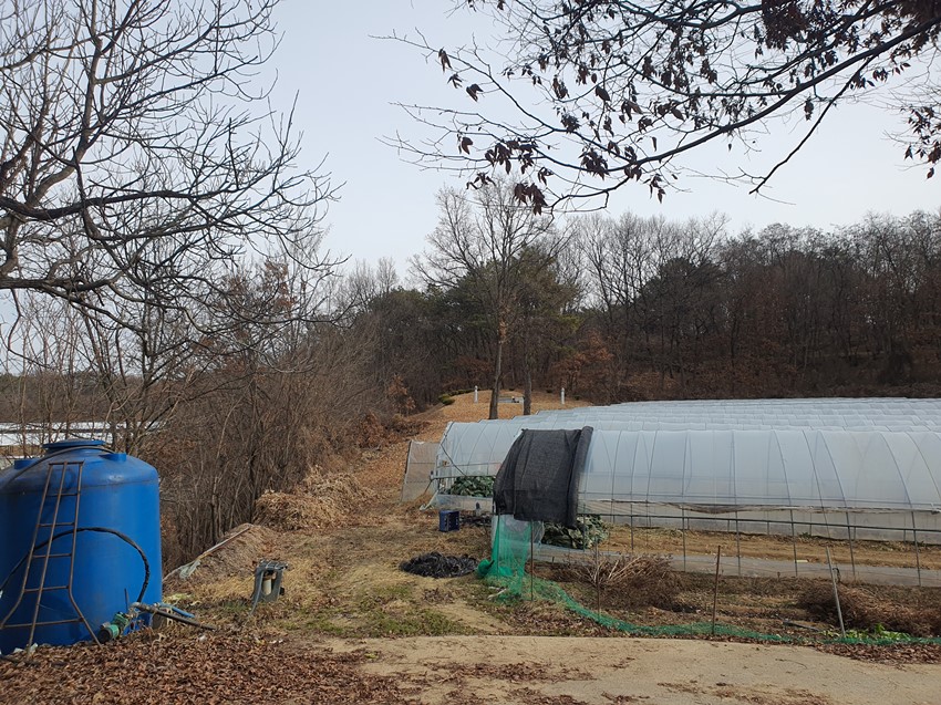 1.개포면 황산리 밭 매매